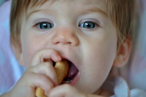 gerber biscuit