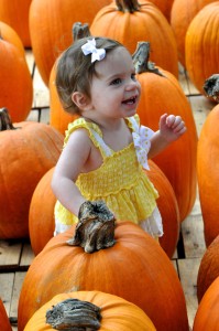 pumpkins 10